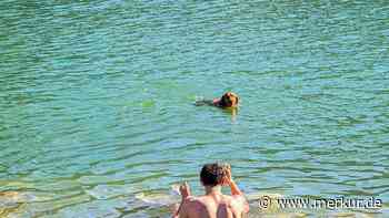 Ab ins Wasser: An diesen bayerischen Seen dürfen Hunde baden