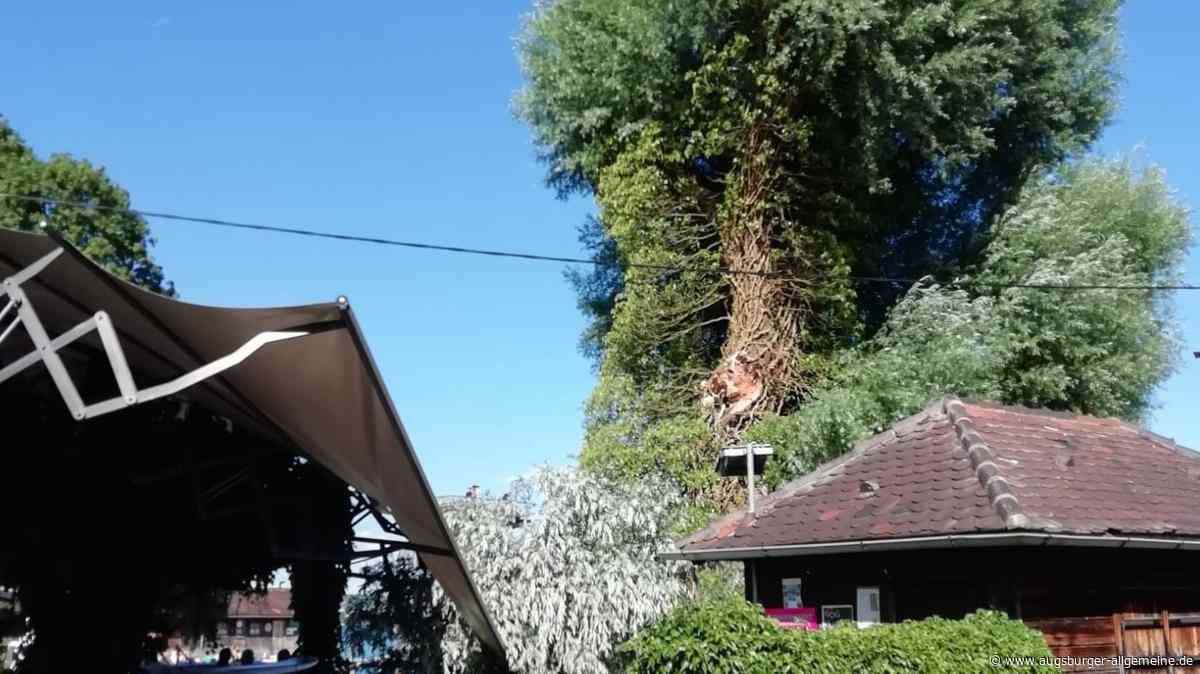 Ast von der großen Weide stürzt aufs Uttinger Strandbad