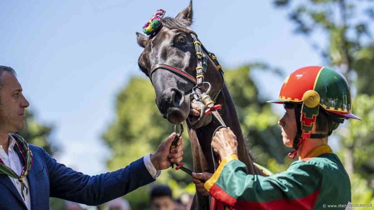 Al Palio di Siena trionfa la contrada dell’Aquila dopo 34 anni: l’ultima vittoria nel 1992