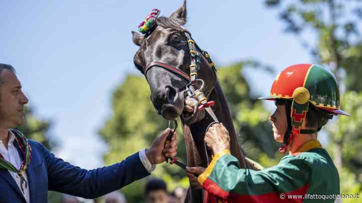 Al Palio di Siena trionfa la contrada dell’Aquila dopo 34 anni: l’ultima vittoria nel 1992