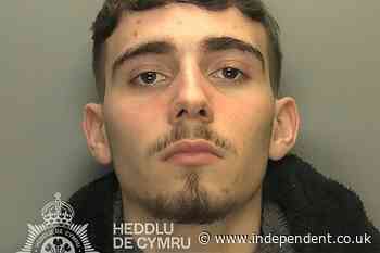 Teenager sentenced to life in prison after fatally running over mother-of-three with his car