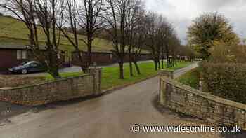 Horse hospital in Cowbridge hoping for £2m state-of-the-art upgrade