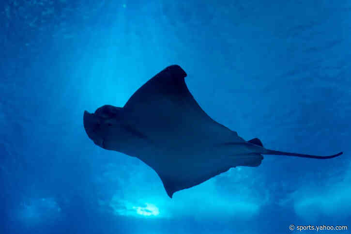Friday Posted & Toasted Notes: Murky truths, spoiler’d Lowry, new NBA rules