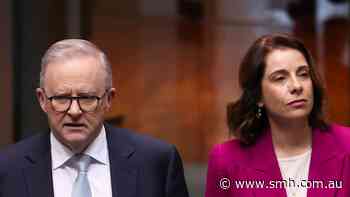 Streaming platforms to show unlimited gambling ads under Labor’s new laws