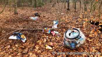 Liverpool parks plagued by 'relentless' litter and anti-social behaviour