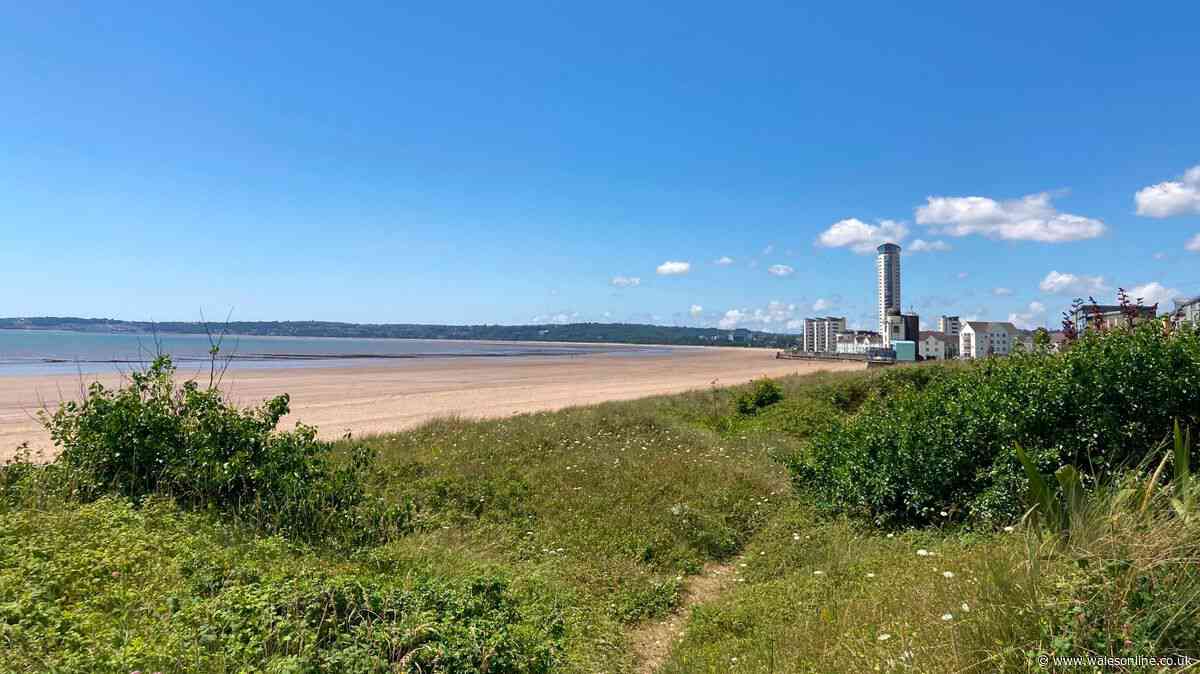 Call for restrictions on barbecues and fires on Swansea beach