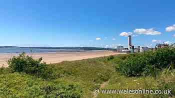 Call for restrictions on barbecues and fires on Swansea beach