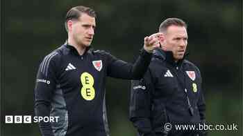 Cremers leaves Wales role as key Bellamy assistant