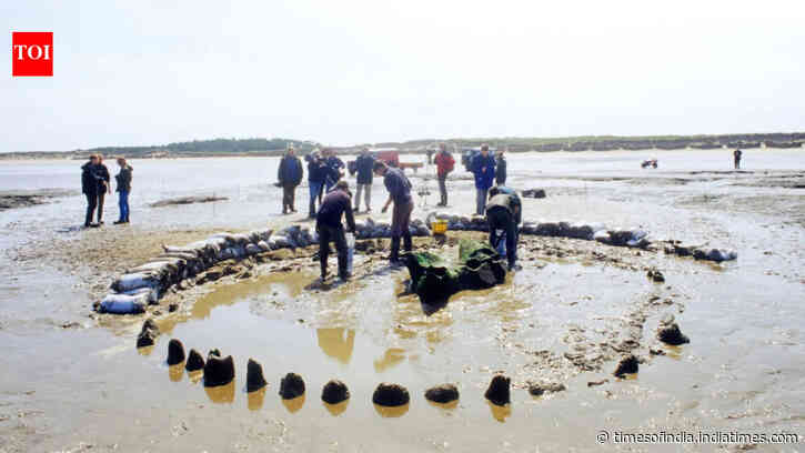 This 4,000-year-old wooden monument in England may have been built to ‘extend summer’