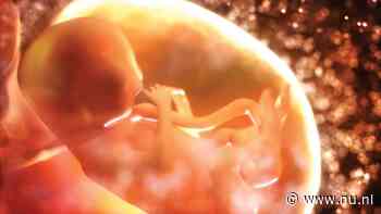 Pakistaanse inlichtingendienst onderzoekt illegale handel in placenta's