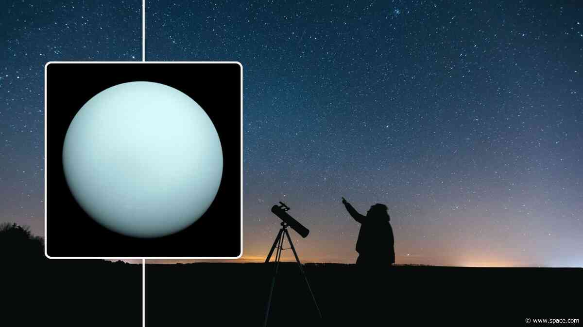 How to find Uranus this week, the hardest planet I've ever tried to see