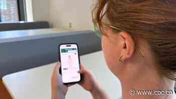 How does virtual care fit into New Brunswick’s health system?