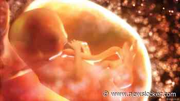 Pakistaanse inlichtingendienst onderzoekt illegale handel in placenta's