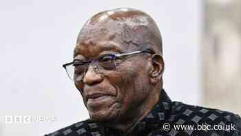Zuma showing South Africa 'middle finger' by meeting Gupta brother - minister