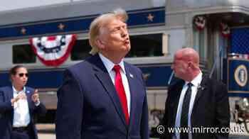 Donald Trump's hair-raising day as he pardons more criminals and makes startling admission
