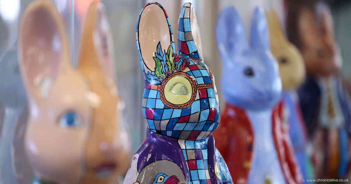 22 first look pictures of the Peter Rabbit sculptures set to hop into Tyneside