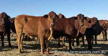 Close to livestock selling centre an added attraction of this Mogumber farm