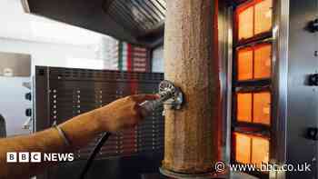 'Less than 10% sheep': How millions may have unknowingly eaten goat, skin and fat kebabs
