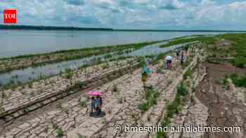 WMO warns of rapid El Nino development during July-September