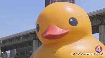 The world's largest duck arrives in Buffalo
