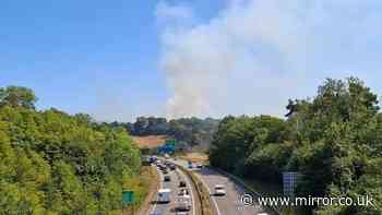 M5 grass fire recap: Major road shut as huge blaze causes traffic chaos near Exeter