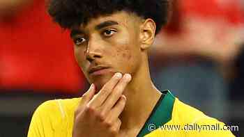 Socceroos branded cowards for putting 18-year-old on the spot for crucial World Cup penalty that led to devastating loss