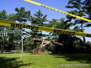 Cleanup continues as city deals with flooding, electrical hazards, downed trees