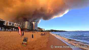 Nederlanders vluchten door giga vuurpluimen aan de Costa Brava: ’Het leek alsof alles in brand stond’
