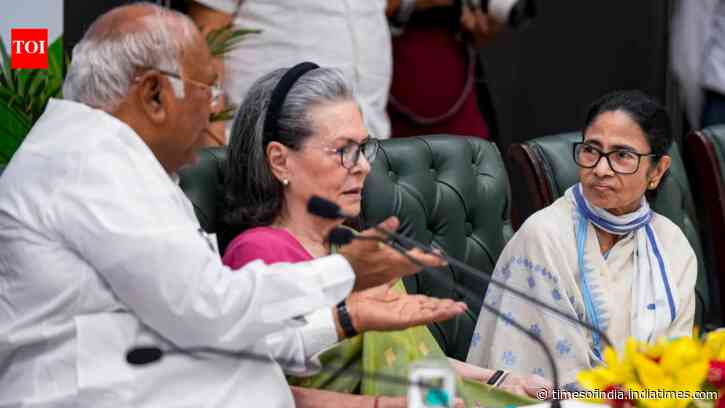 Govt fixing polls with EC's help: INDIA bloc to CJI