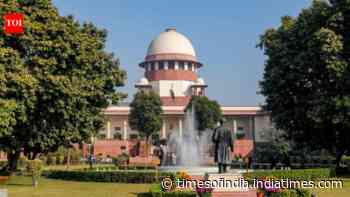 Spouse accused of adultery can't invoke right to privacy, says SC