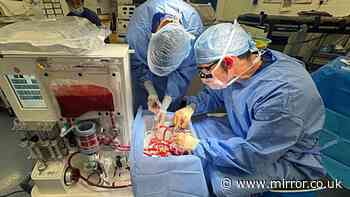 First transplant made possible thanks to ‘breakthrough’ NHS organ-saving pilot