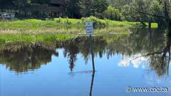 Sidewalks, signs and park areas in St. Albert under water as Sturgeon River swells