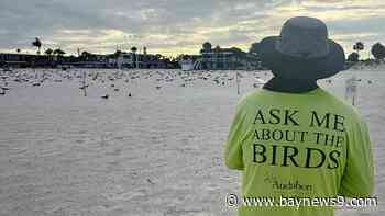 Sharing the seashore with nesting seabirds made easier by education-driven outreach