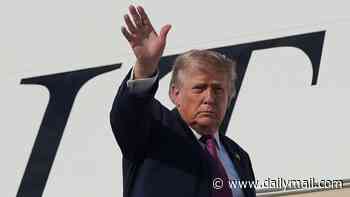 Taylor, hold our beer! Trump delights fans with dramatic Mt Rushmore flyover as he kicks off America 250 celebrations with newlyweds Bettina and Don Jr and daughter Tiffany
