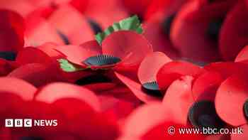 Stolen poppy wreaths returned after 'meaningful dialogue'