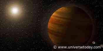 Bending Spacetime Reveals New Planet Hidden in Archived TESS Data