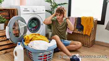 Exact reason your washing machine is shaking and how to stop it