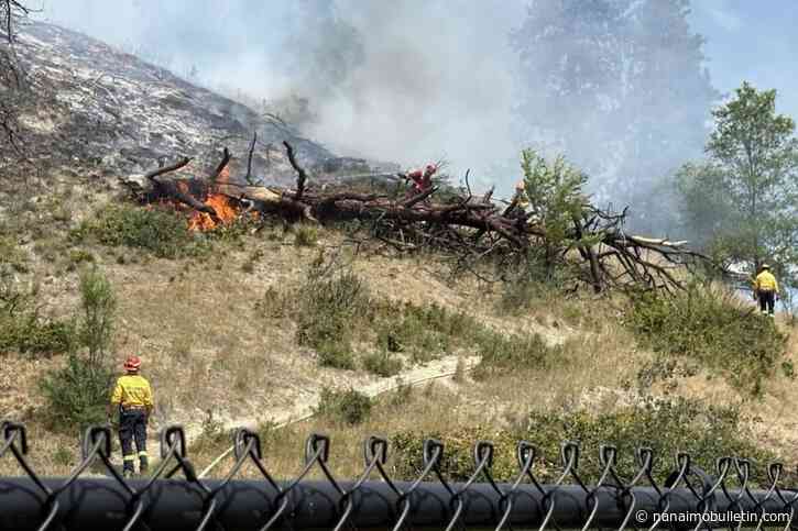 Quick response by Kelowna Fire Department snuffs suspicious grass fire