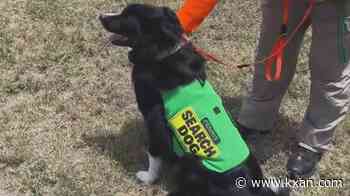 Volunteer K-9 teams continue to aid in Central Texas disaster response