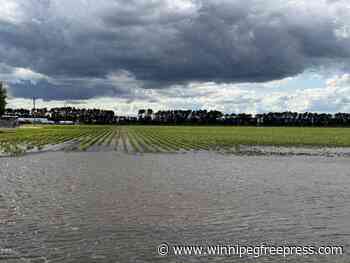 Big decisions put many farmers in same boat