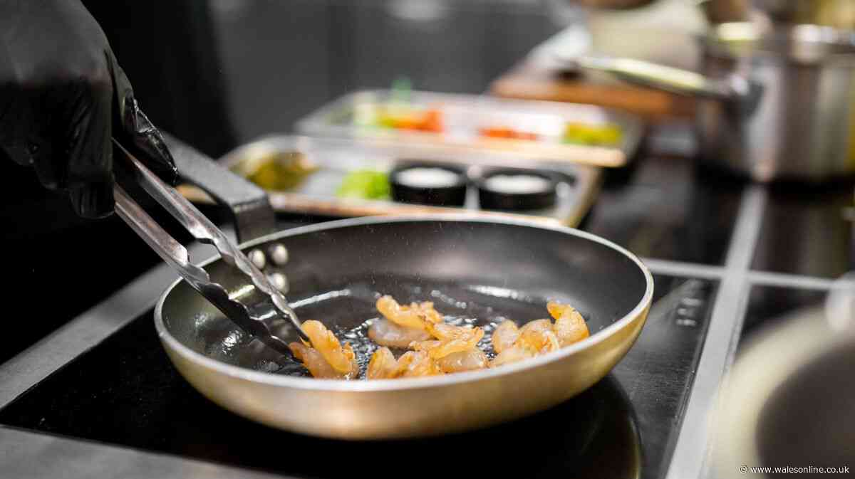 Oncologist says 'check your frying pan' today as he shares little-known cancer risk