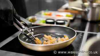 Oncologist says 'check your frying pan' today as he shares little-known cancer risk
