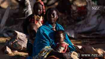 Krieg im Sudan: Zubeida überlebte nur, weil sie sich als Halbaraberin ausgab