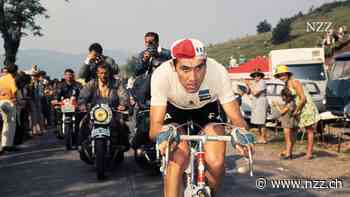 INTERVIEW - Radsportlegende Eddy Merckx sagt: «Ich konnte mehr leiden als meine Konkurrenten, deshalb habe ich sie alle geschlagen»