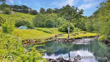 'Out of this world' Welsh campsite beside a waterfall named the best in the UK