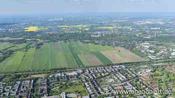 Lupe nicht vergessen: Botanischer Verein lädt zur Expedition in Bergedorf ein