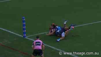 Roosters gun bags a double