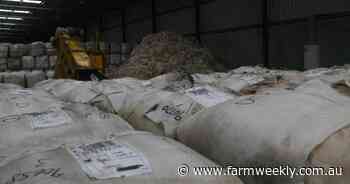 Positive oultook as wool market dips for the first sale of the season