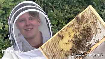 The teen beekeeper busy with his own bee business