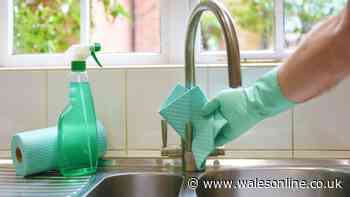 'Freshen up' smelly drains with 'easy' fix that uses two ingredients